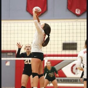 Meet your Posher, Heidi